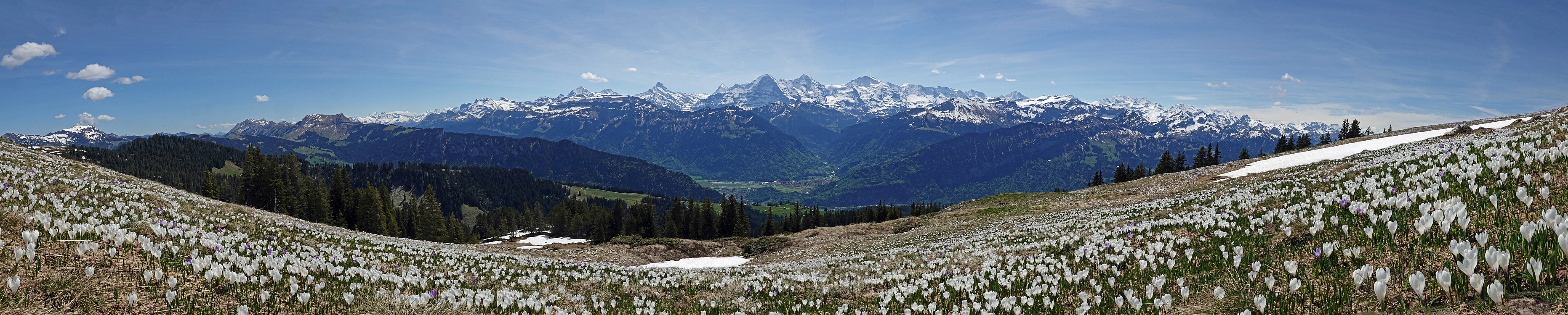 « zurück / Foto: F.Bieri